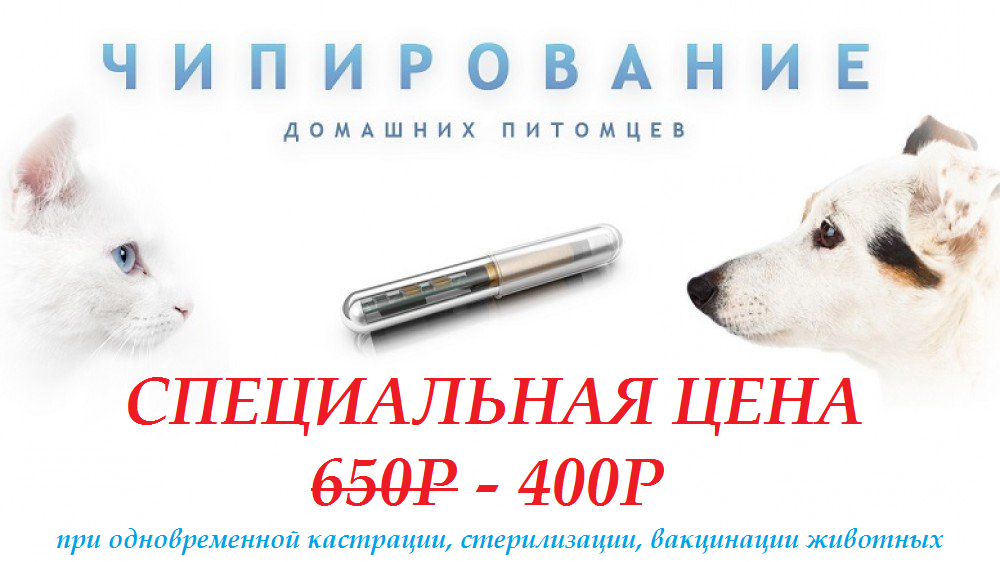 ЧИПИРОВАНИЕ ЖИВОТНЫХ